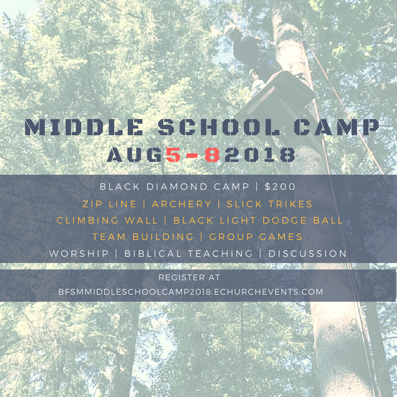 MS Camp Flyer 2018